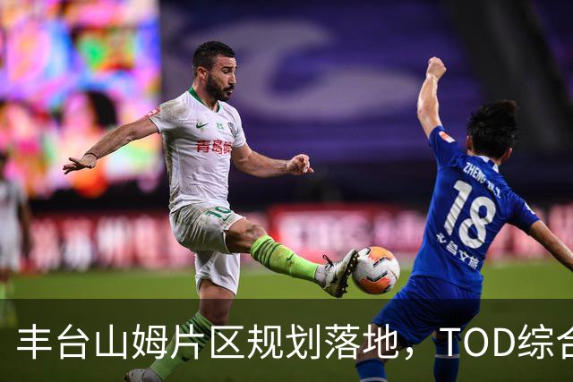 丰台山姆片区规划落地，TOD综合体地铁直达
