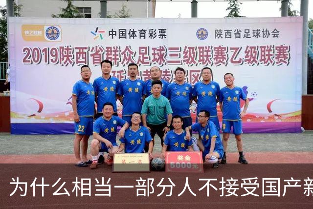 为什么相当一部分人不接受国产新能源车？真正答案终于被说出来了