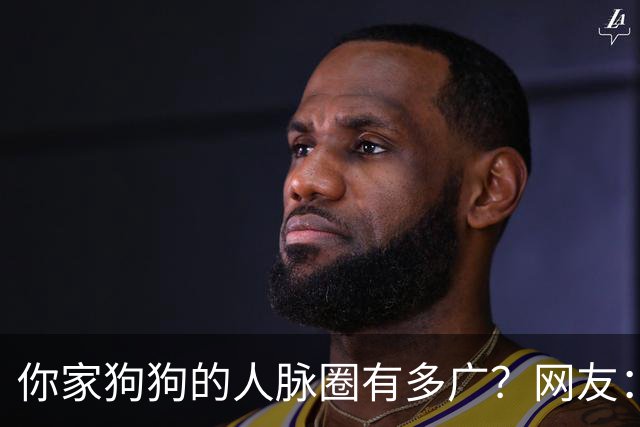 你家狗狗的人脉圈有多广？网友：我也是只认识狗不认识狗主人