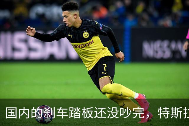 国内的刹车踏板还没吵完，特斯拉已经飞上天了！