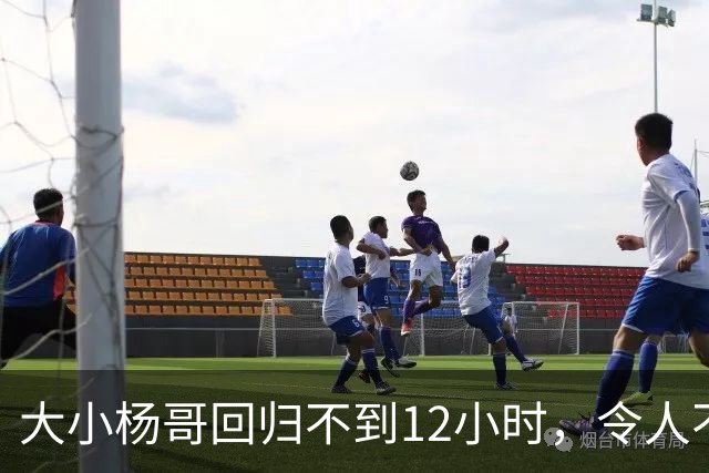 大小杨哥回归不到12小时，令人不悦的一幕出现，曾志伟已逆风翻盘