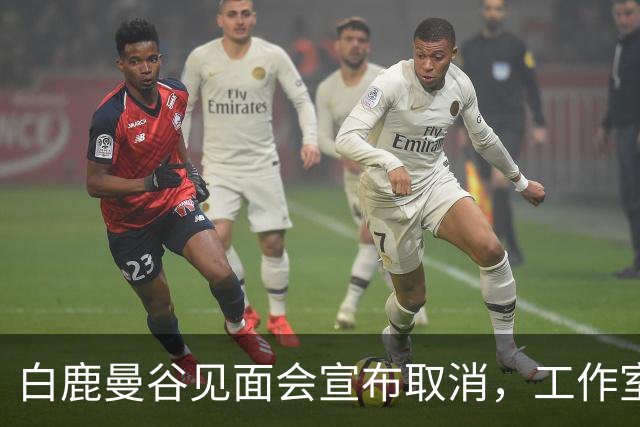 白鹿曼谷见面会宣布取消，工作室道歉：鉴于近期相关风险提示，与平台审慎沟通后取消；补偿方案公布