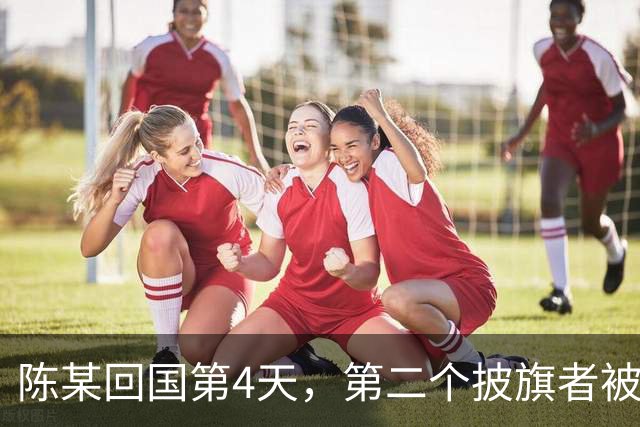 陈某回国第4天，第二个披旗者被揪了出来，现形后想销号跑路