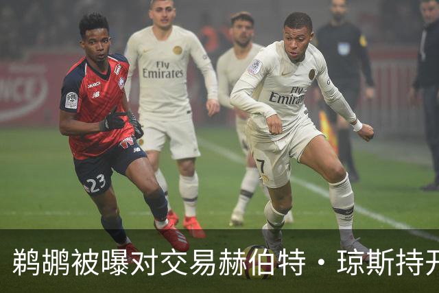 鹈鹕被曝对交易赫伯特·琼斯持开放态度，Stein辟谣：没这意愿